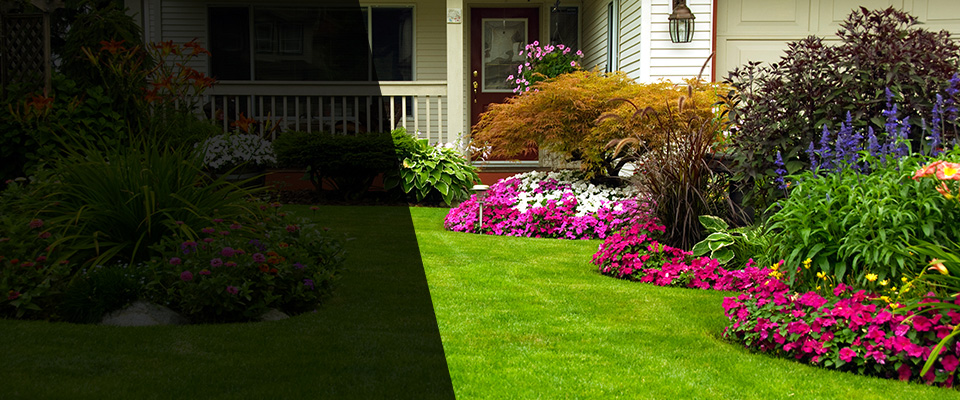 Sylva Landscapers
