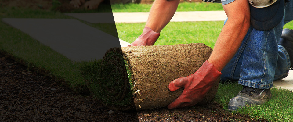 Sylva Landscapers